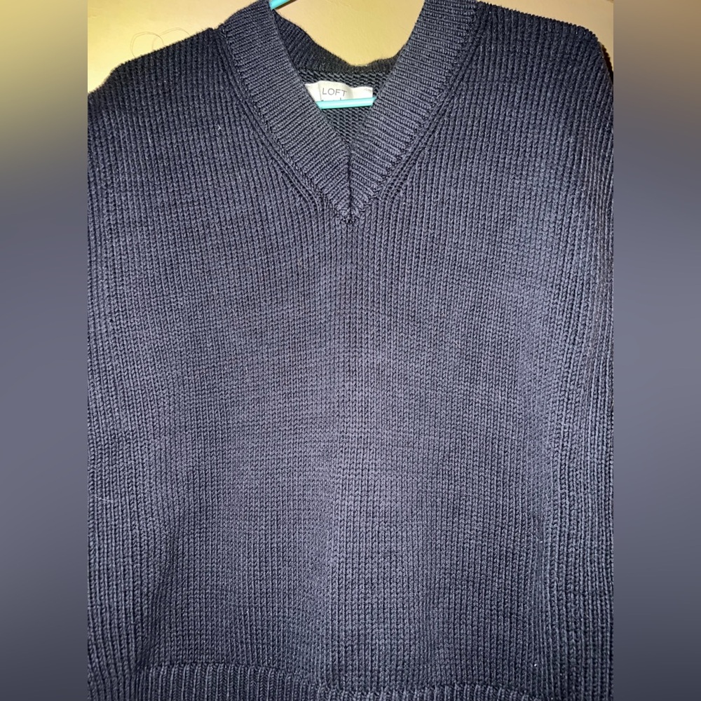 LOFT Men's Navy Blue Sweater Vest